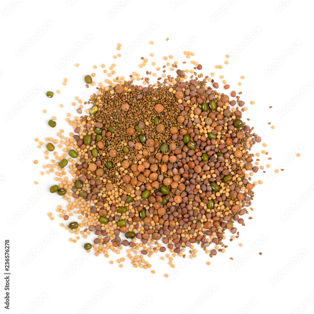 Edible seed mix with dry radish, mustard, lentils, alfalfa seeds Edible seed mix with dry radish, mustard, lentils, alfalfa seeds