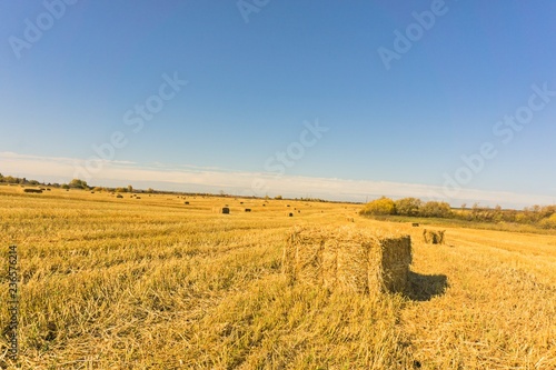 straw bales in harvested fields