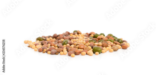 Edible seed mix with dry radish, mustard, lentils, alfalfa seeds