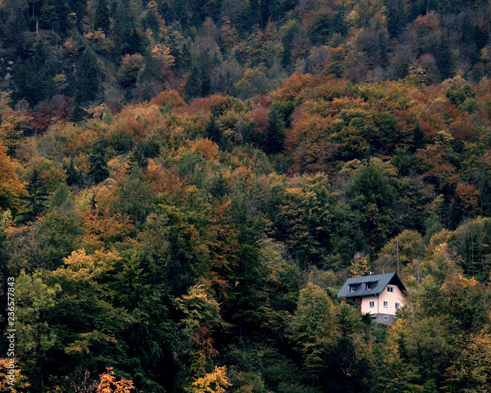 Lonely traditional rural house in the alps mountains hidden in the mountain forest at the fall
