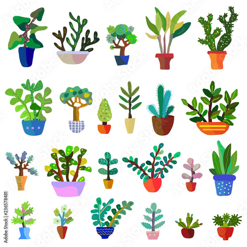 Cactuses set with many flowers, vector graphic illustration