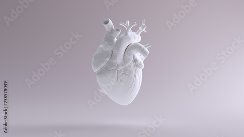 Obraz na plátně White Heart Anatomical 3d illustration 3d render