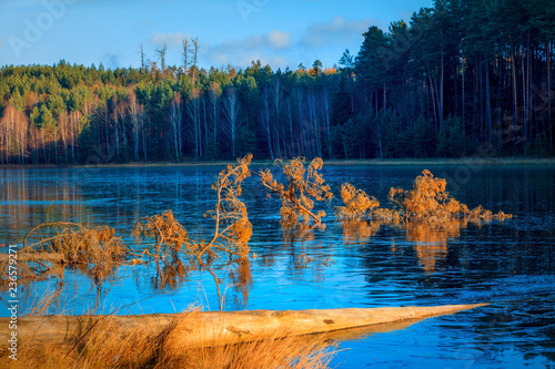 Jesienne Jezioro Skute Lodem © Wojciech Lisiński