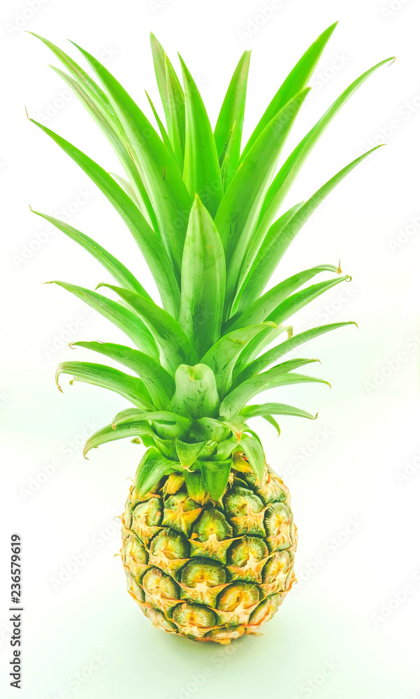 Pineapple with leaves on white background. Designed for white backgrounds. Pineapple with leaves on white background. Designed for white backgrounds.