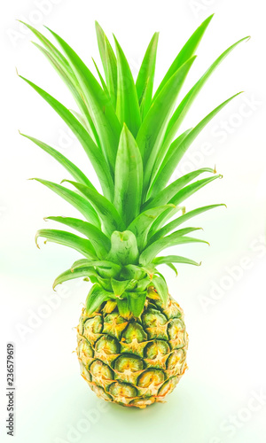 Pineapple with leaves on white background. Designed for white backgrounds.