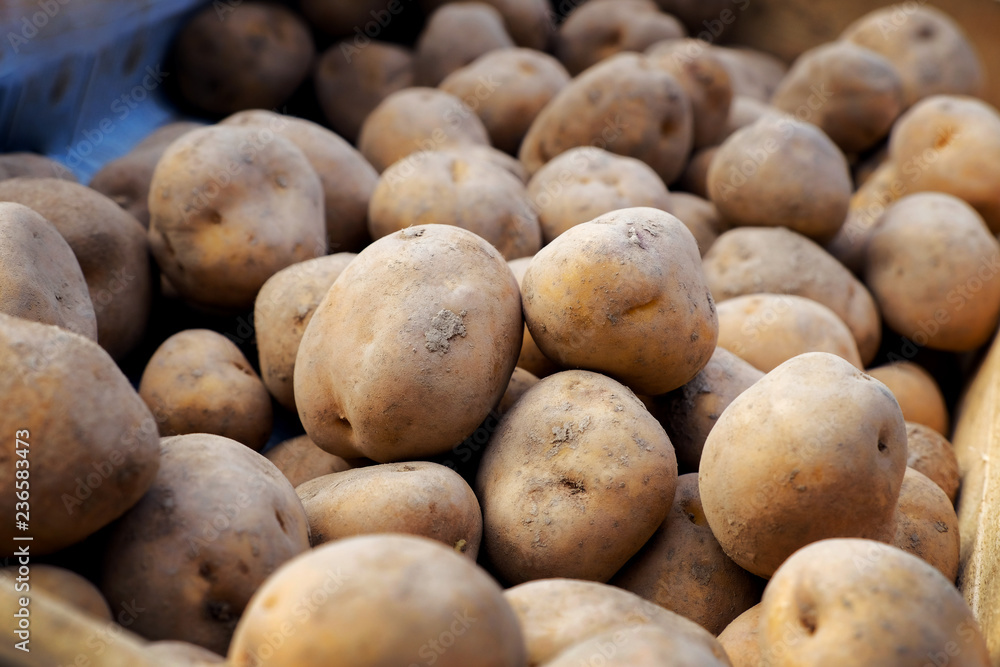 Fresh Organic Potato on Tray at the Farmer Market, Raw Food, Closeup and Selective Focus Fresh Organic Potato on Tray at the Farmer Market, Raw Food, Closeup and Selective Focus