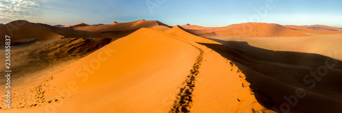 Wüste photo