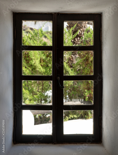 View from the window on the plants in the garden