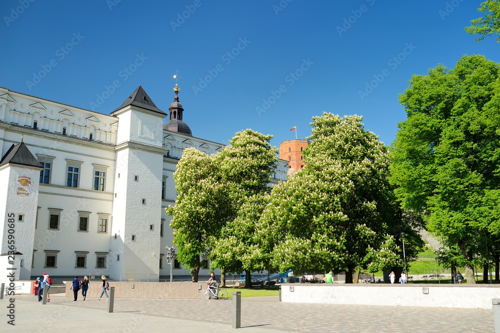 Naklejka premium The Palace of the Grand Dukes of Lithuania