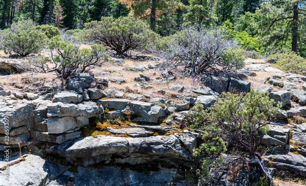 Scenic landscape of Yosemite Valley, California, USA