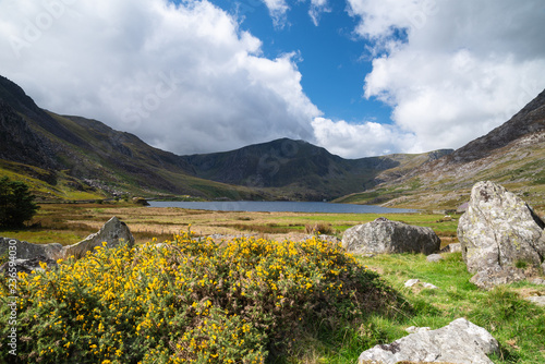 Stunning landscape image of countryside around Llyn Ogwen in Snowdonia during early Autumn photo