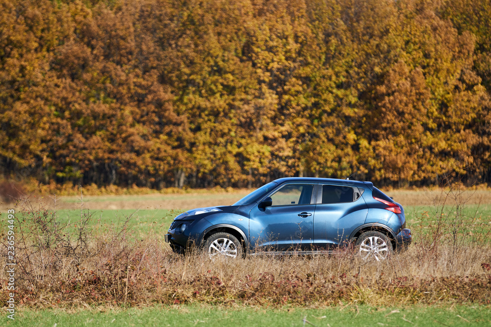 SUV in the forest SUV in the forest