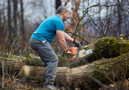 Lumberjack working with chainsaw