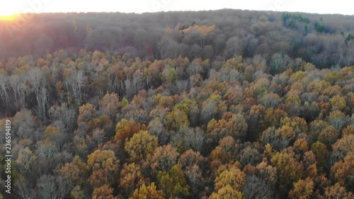 Aerial view flying across beautiful colored trees by Nyk√∏bing Bugt during autumn in a beautiful sunset photo