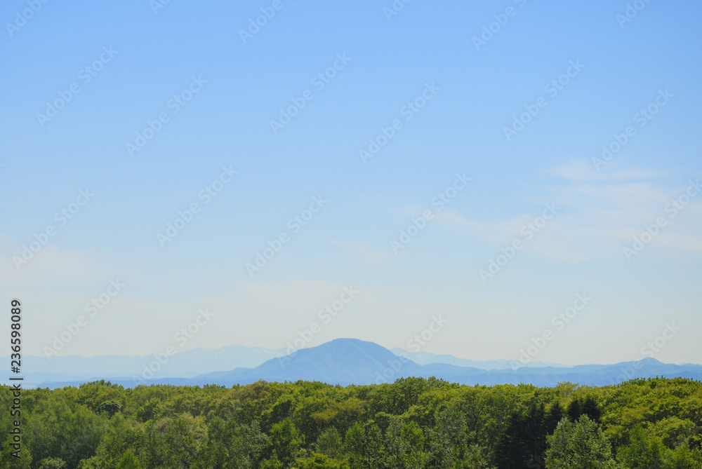 Obraz premium 木 山 空 雲 素材