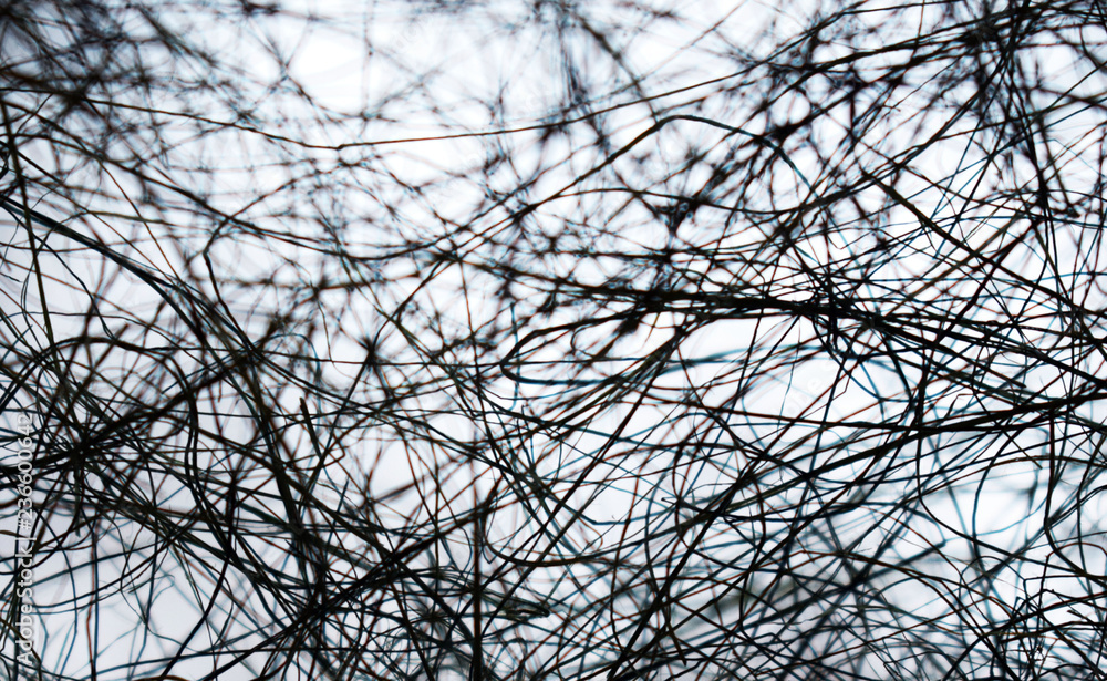 Obraz premium Black web on white background. Intertwined threads. The texture of the web. Gloomy background. Strange abstraction. Cosmic illusion. Intricate pattern.