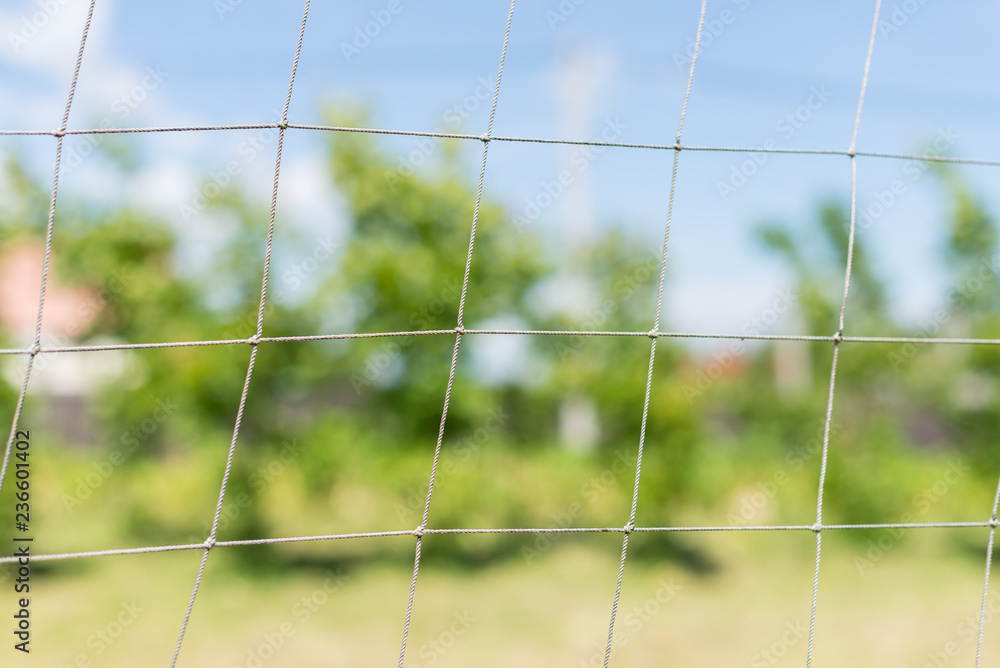 mesh with sky background