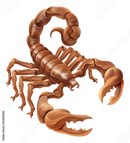 Scorpion Scorpio zodiac animal sign design graphic