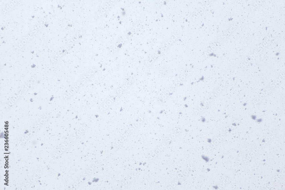 Fototapeta premium winter background with big snowflakes