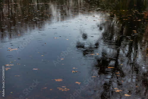 Gouttes de pluie faisant des ronds dans l'eau sur l'étang