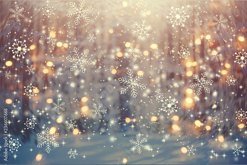 Beautiful snowy forest and abstract shiny light background