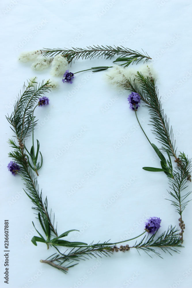 ハーブ ティーツリーとラベンダーのフレーム Stock Photo Adobe Stock