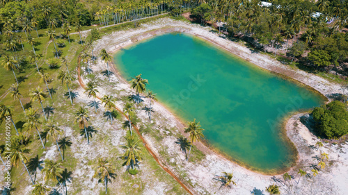 Aerial drone view of beautiful lagoon pond on tropical island during sunny summer day