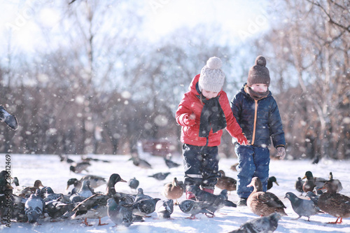 Photography children feed birds in the park