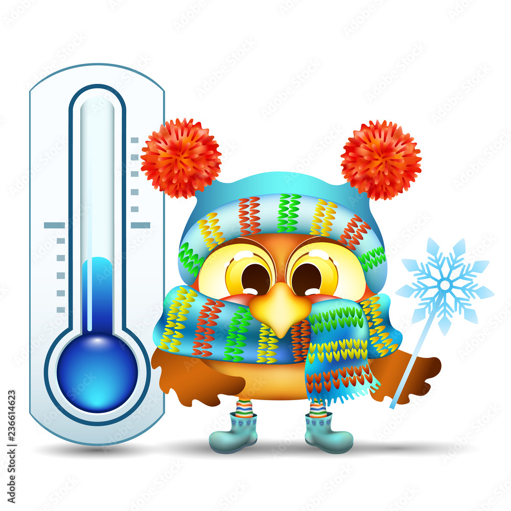 funny cartoon owl in winter hat with snowflake near the street thermometer  Stock Vector | Adobe Stock