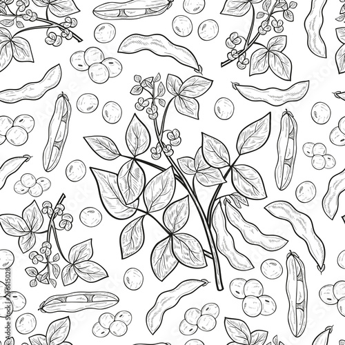 Soy. Plant. Stem, flower, leaf, fruit, pod. Monophonic. Background, wallpaper, seamless, texture. Sketch.