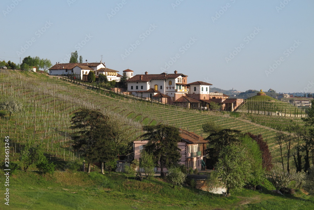 Naklejka premium The vineyards and fields of the Piemonte wine region of northern Italy near Monforte d'Alba.