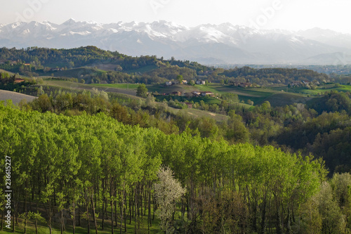 The vineyards and fields of the Piemonte wine region of northern Italy near Monforte d'Alba.
