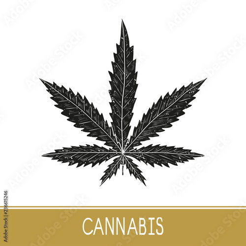 Cannabis. Sheet. Black silhouette on white background. Sign, symbol, logo, emblem.