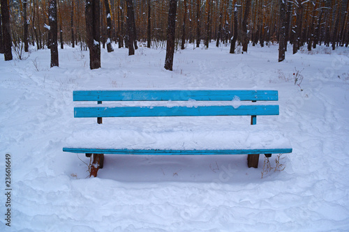 Wallpaper Mural Blue wooden bench snow in a pine winter forest. Torontodigital.ca