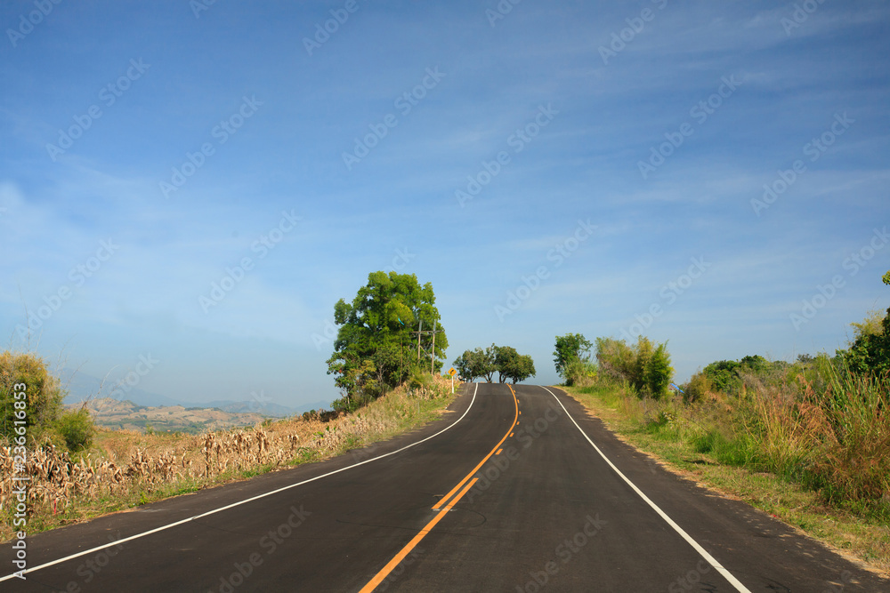 Fototapeta premium Road with grass flower , clearly blue sky in countryside of Thailand.