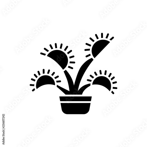 Black & white vector illustration of insect eating plant with leaves in pot. Flat icon of decorative home plant in container. Isolated object