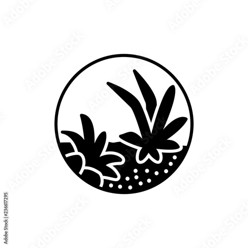 Black & white vector illustration of round terrarium with plants & stones. Decorative succulent home plants in glass container. Flat icon. Isolated object