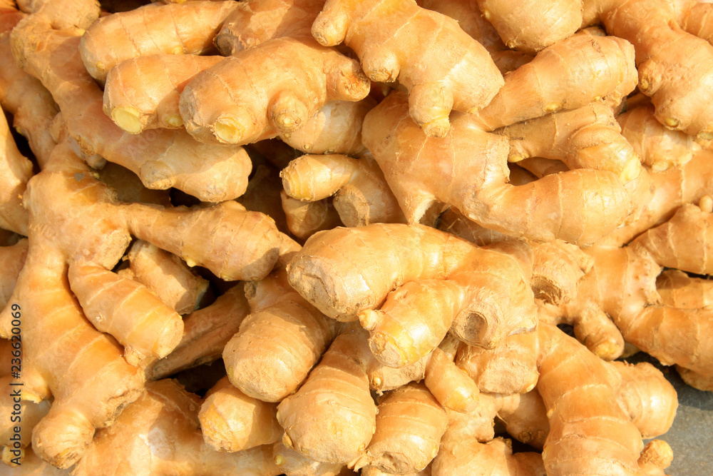 ginger ginger