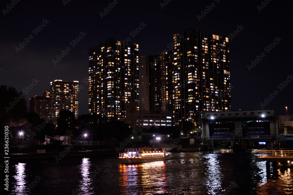 Fototapeta premium 天王洲アイルの夜景