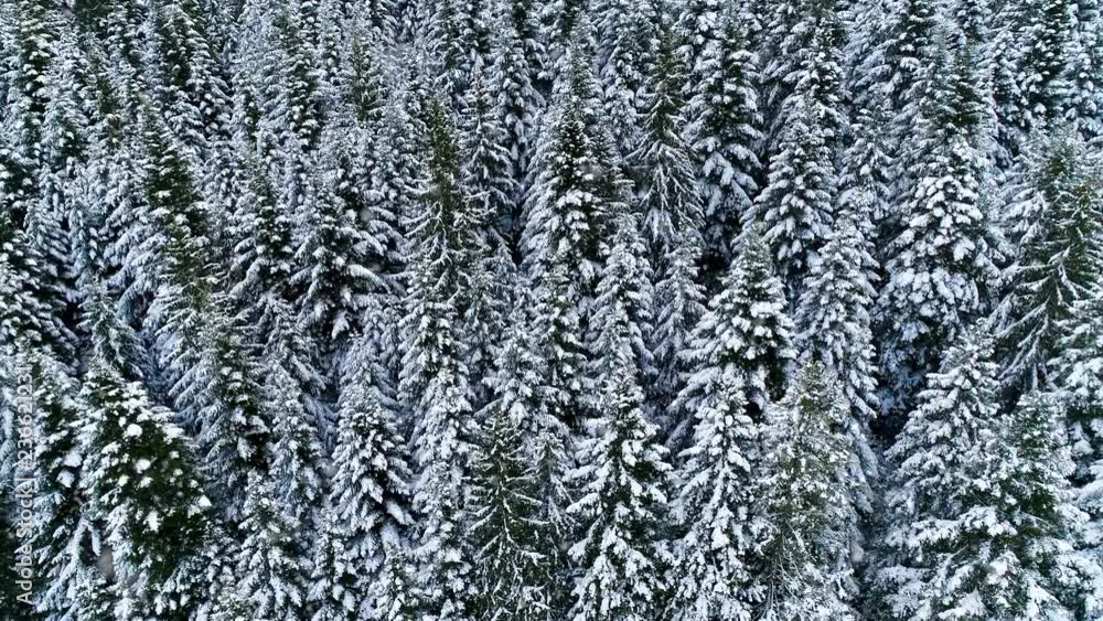 Winter in mountains aerial view from sky. Trees aerial in winter forest with snow in 4k. Winter in mountains aerial view from sky. Trees aerial in winter forest with snow in 4k.