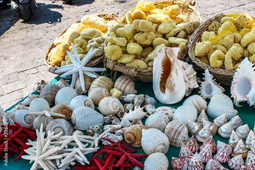 Stall of a fisherman, selling shells, red and white starfish and yellow sponges, in wicker baskets, in Gallipoli, Salento, Puglia, Italy