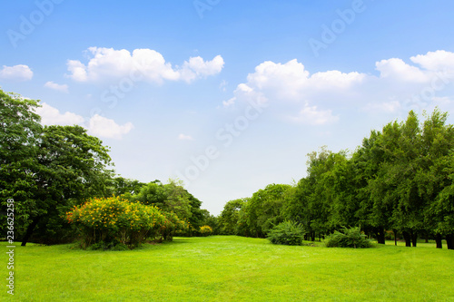 Scenic view of the park with green grass field in city and a cloudy blue sky background