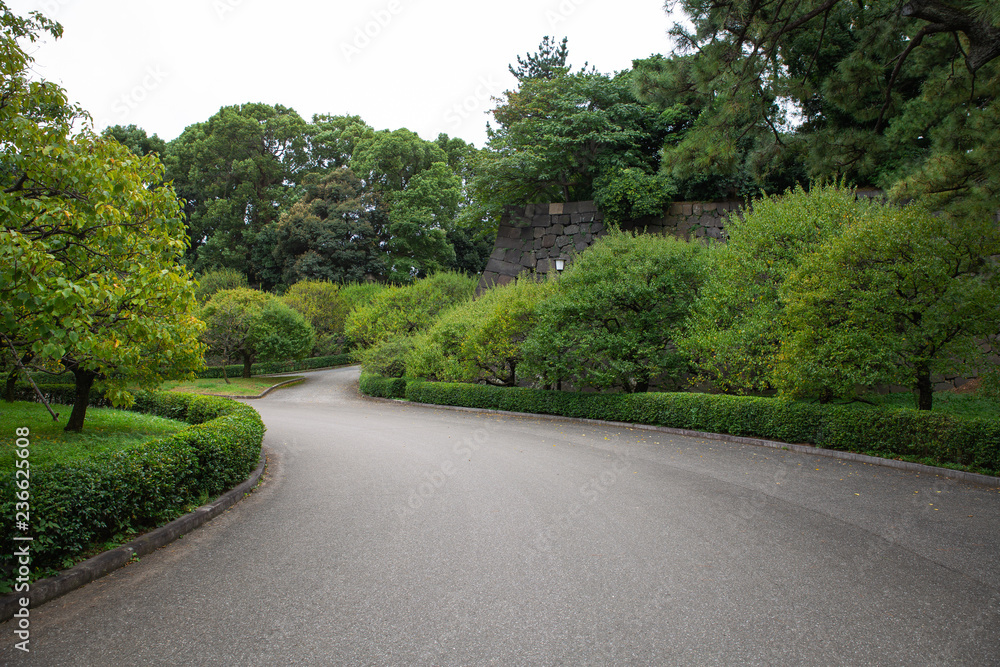 Obraz premium park in the tokyo japan
