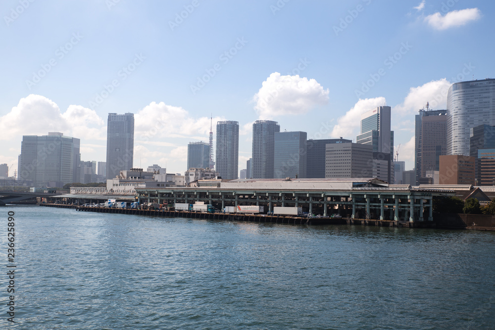 Naklejka premium tokyo,japan - oct,6,2018:The tokyo tsukiji fish inner market is last day for business.