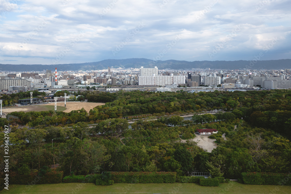 Fototapeta premium cityscape of the osaka japan