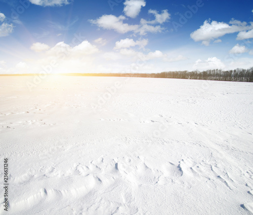 Snowcovered fields on  sky and sun. © Alekss