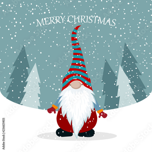 Christmas card with cute gnome