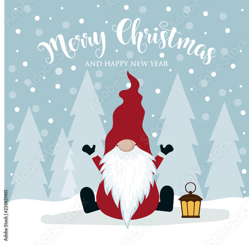 Christmas card with cute gnome