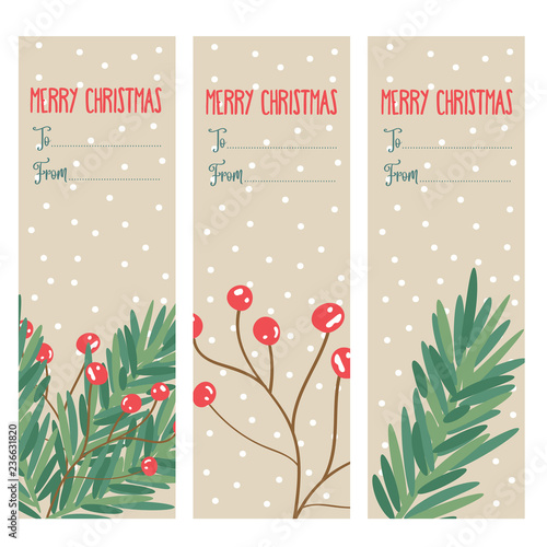 Christmas labels collection with tree branches and holly berries
