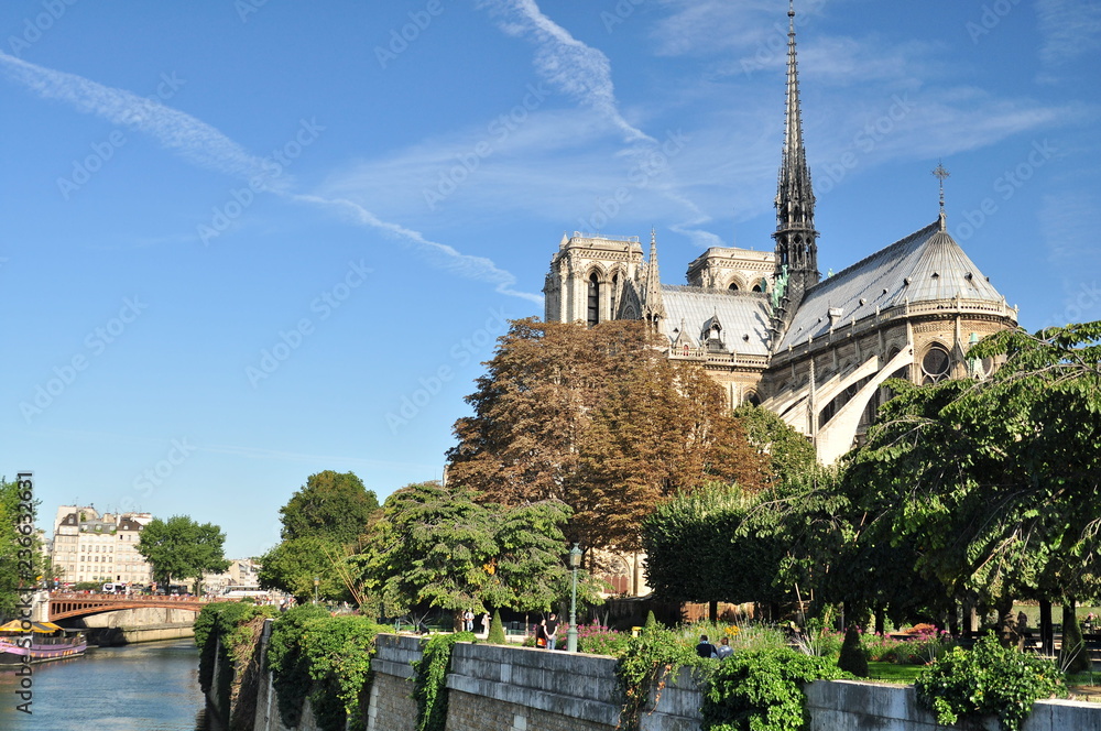 vue sur la Seine et la cathédrale Notre Dame à Paris